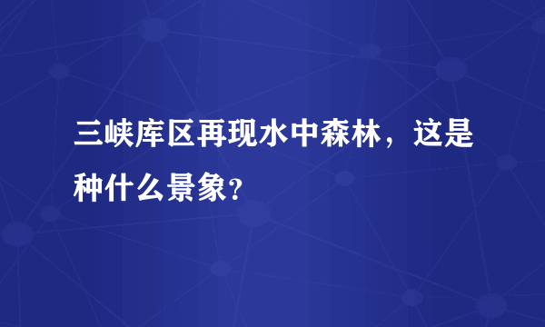 三峡库区再现水中森林，这是种什么景象？