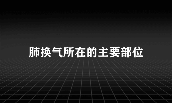 肺换气所在的主要部位