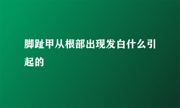 脚趾甲从根部出现发白什么引起的