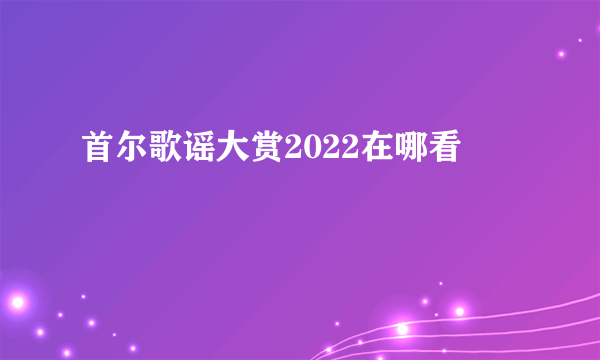 首尔歌谣大赏2022在哪看
