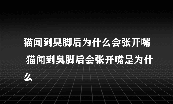 猫闻到臭脚后为什么会张开嘴 猫闻到臭脚后会张开嘴是为什么