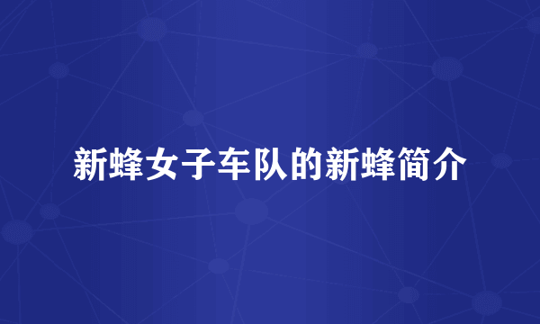 新蜂女子车队的新蜂简介