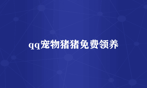 qq宠物猪猪免费领养