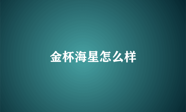 金杯海星怎么样