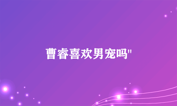 曹睿喜欢男宠吗