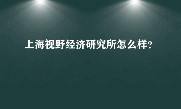 上海视野经济研究所怎么样？