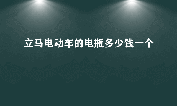 立马电动车的电瓶多少钱一个