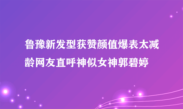 鲁豫新发型获赞颜值爆表太减龄网友直呼神似女神郭碧婷