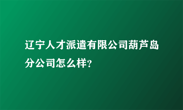 辽宁人才派遣有限公司葫芦岛分公司怎么样？