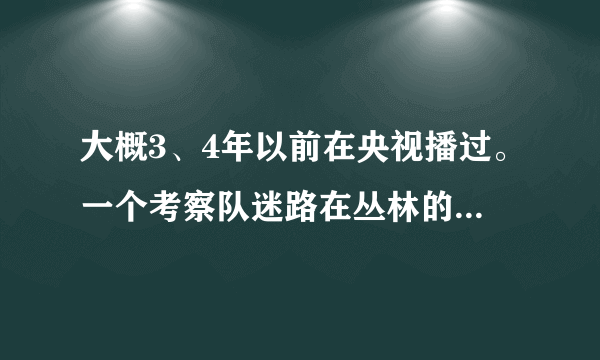 大概3、4年以前在央视播过。一个考察队迷路在丛林的电视剧。叫什么名字？
