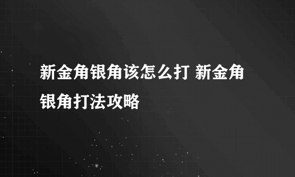 新金角银角该怎么打 新金角银角打法攻略