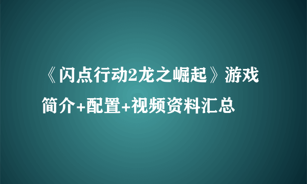 《闪点行动2龙之崛起》游戏简介+配置+视频资料汇总
