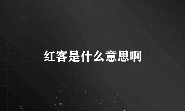 红客是什么意思啊
