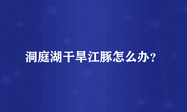 洞庭湖干旱江豚怎么办？