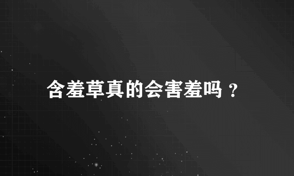含羞草真的会害羞吗 ？