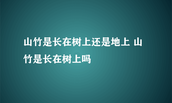 山竹是长在树上还是地上 山竹是长在树上吗