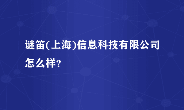 谜笛(上海)信息科技有限公司怎么样？