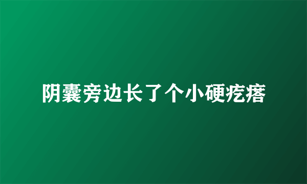 阴囊旁边长了个小硬疙瘩
