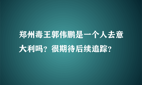 郑州毒王郭伟鹏是一个人去意大利吗？很期待后续追踪？