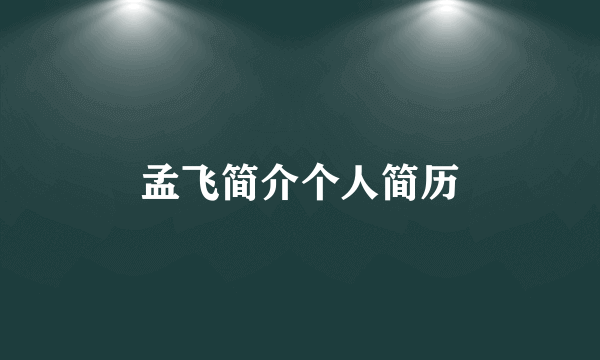 孟飞简介个人简历