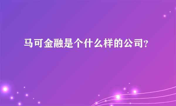 马可金融是个什么样的公司？