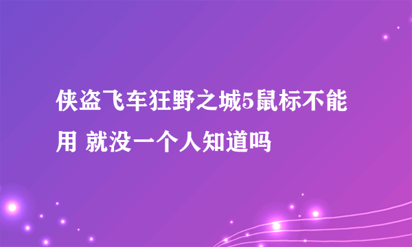 侠盗飞车狂野之城5鼠标不能用 就没一个人知道吗