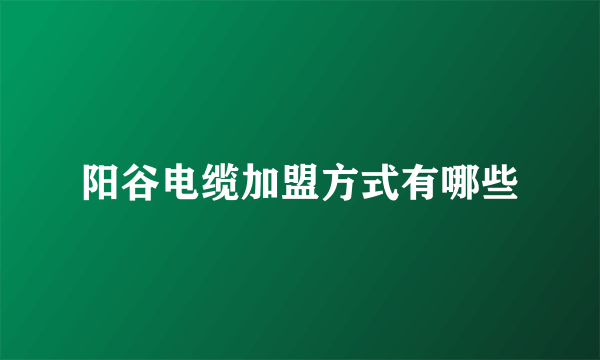 阳谷电缆加盟方式有哪些