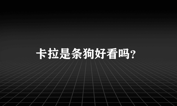 卡拉是条狗好看吗？