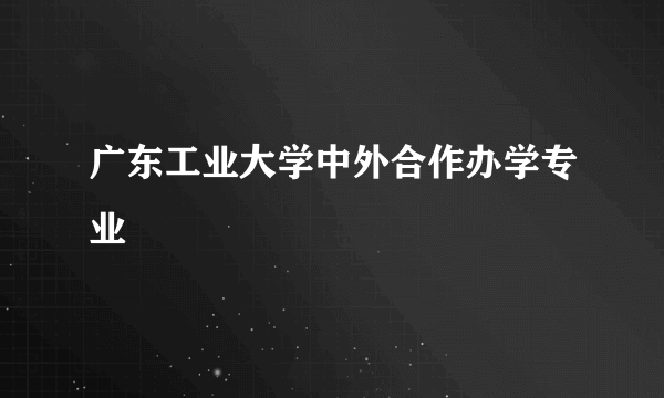 广东工业大学中外合作办学专业