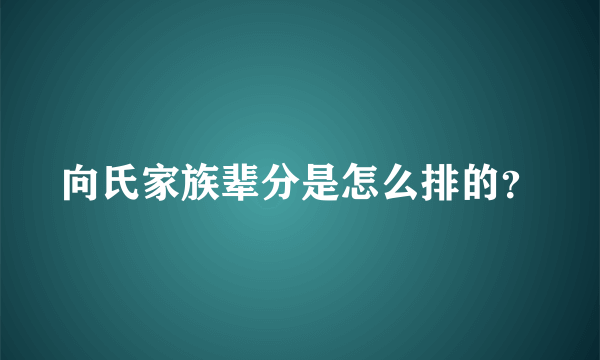 向氏家族辈分是怎么排的？