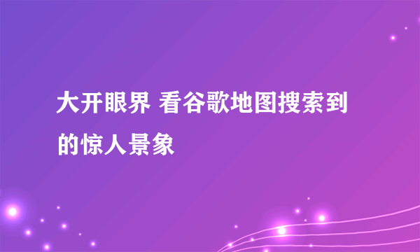 大开眼界 看谷歌地图搜索到的惊人景象
