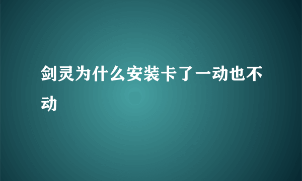 剑灵为什么安装卡了一动也不动