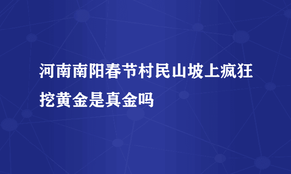 河南南阳春节村民山坡上疯狂挖黄金是真金吗