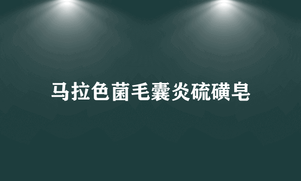 马拉色菌毛囊炎硫磺皂