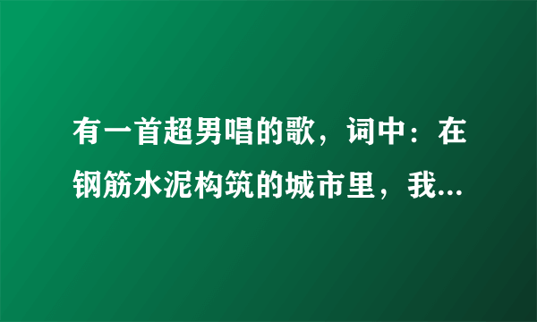 有一首超男唱的歌，词中：在钢筋水泥构筑的城市里，我就像无助的孩子。歌名是什么？