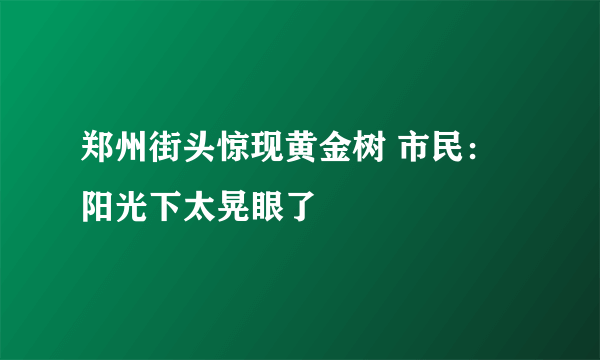 郑州街头惊现黄金树 市民：阳光下太晃眼了