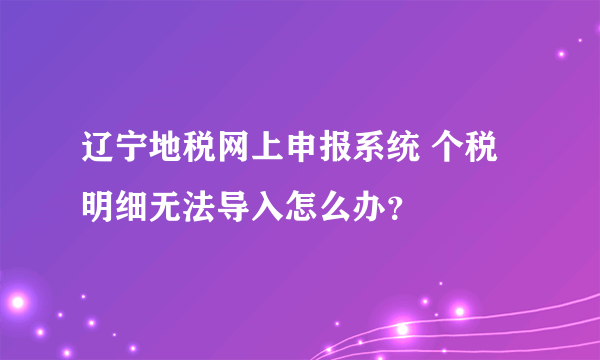 辽宁地税网上申报系统 个税明细无法导入怎么办？