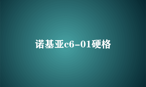 诺基亚c6-01硬格
