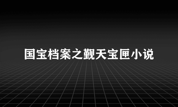 国宝档案之觐天宝匣小说