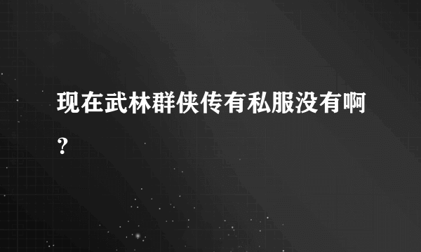 现在武林群侠传有私服没有啊？