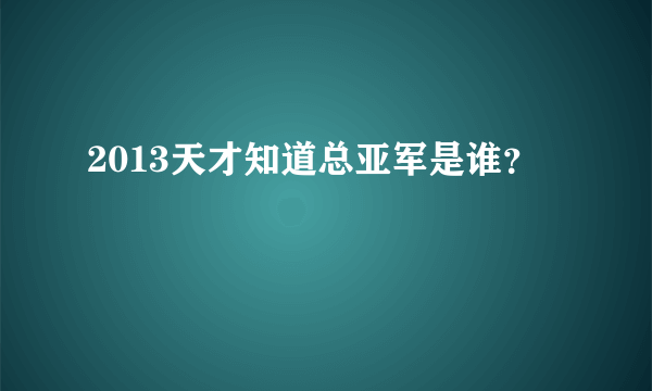 2013天才知道总亚军是谁？