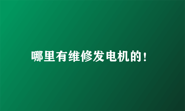哪里有维修发电机的！
