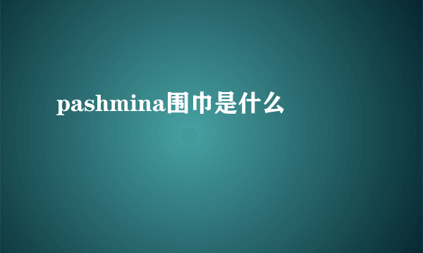 pashmina围巾是什么
