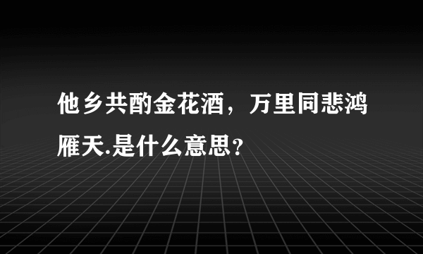 他乡共酌金花酒，万里同悲鸿雁天.是什么意思？