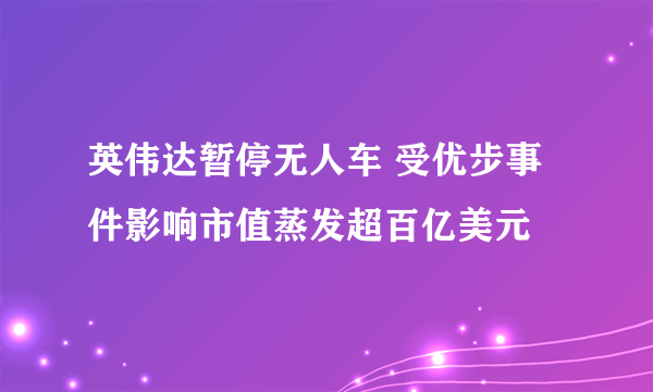 英伟达暂停无人车 受优步事件影响市值蒸发超百亿美元
