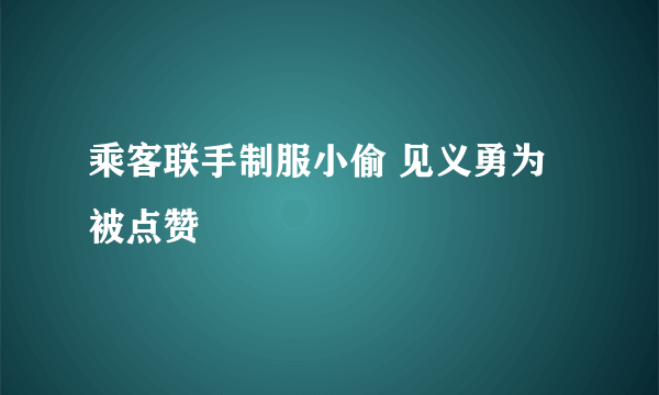 乘客联手制服小偷 见义勇为被点赞