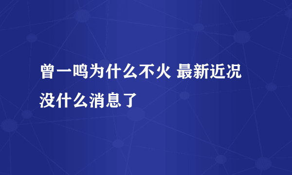 曾一鸣为什么不火 最新近况没什么消息了
