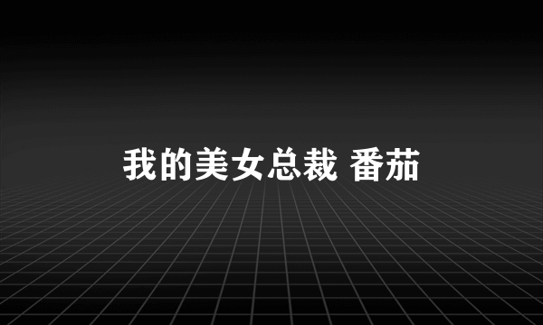 我的美女总裁 番茄
