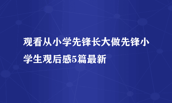 观看从小学先锋长大做先锋小学生观后感5篇最新