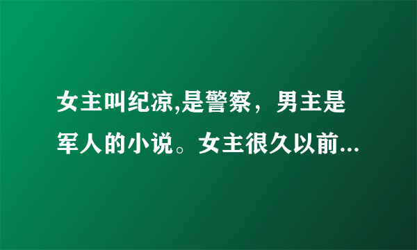 女主叫纪凉,是警察，男主是军人的小说。女主很久以前和男主一夜情后逃走，生下一个儿子纪小墨。